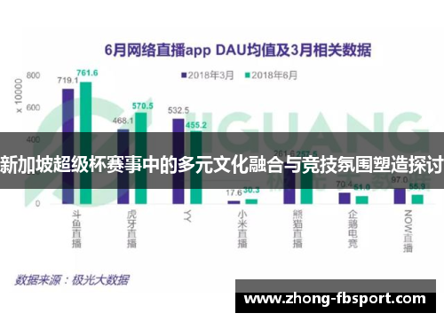 新加坡超级杯赛事中的多元文化融合与竞技氛围塑造探讨
