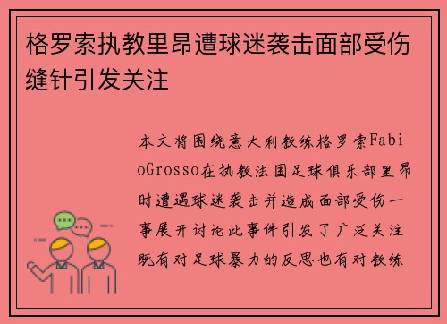 格罗索执教里昂遭球迷袭击面部受伤缝针引发关注